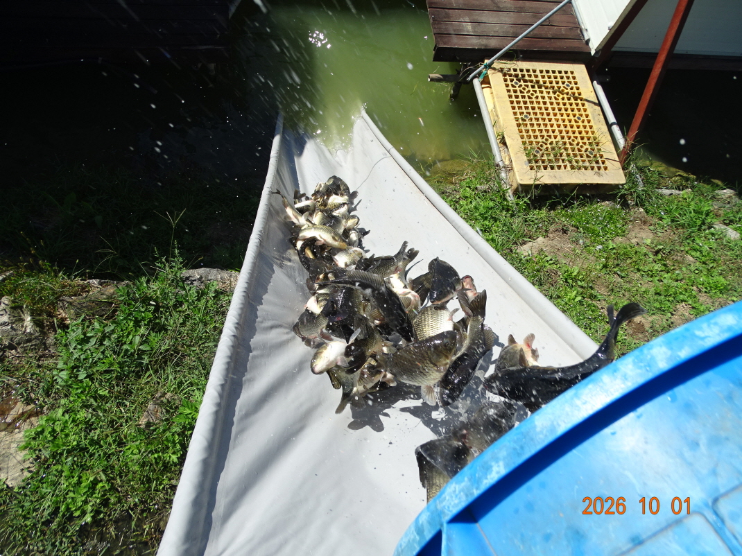 DSC09294.JPG