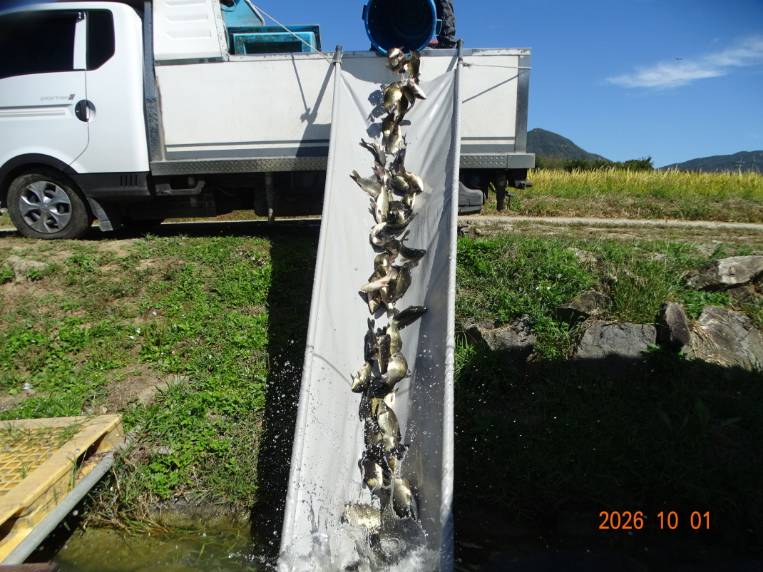 DSC09304.JPG