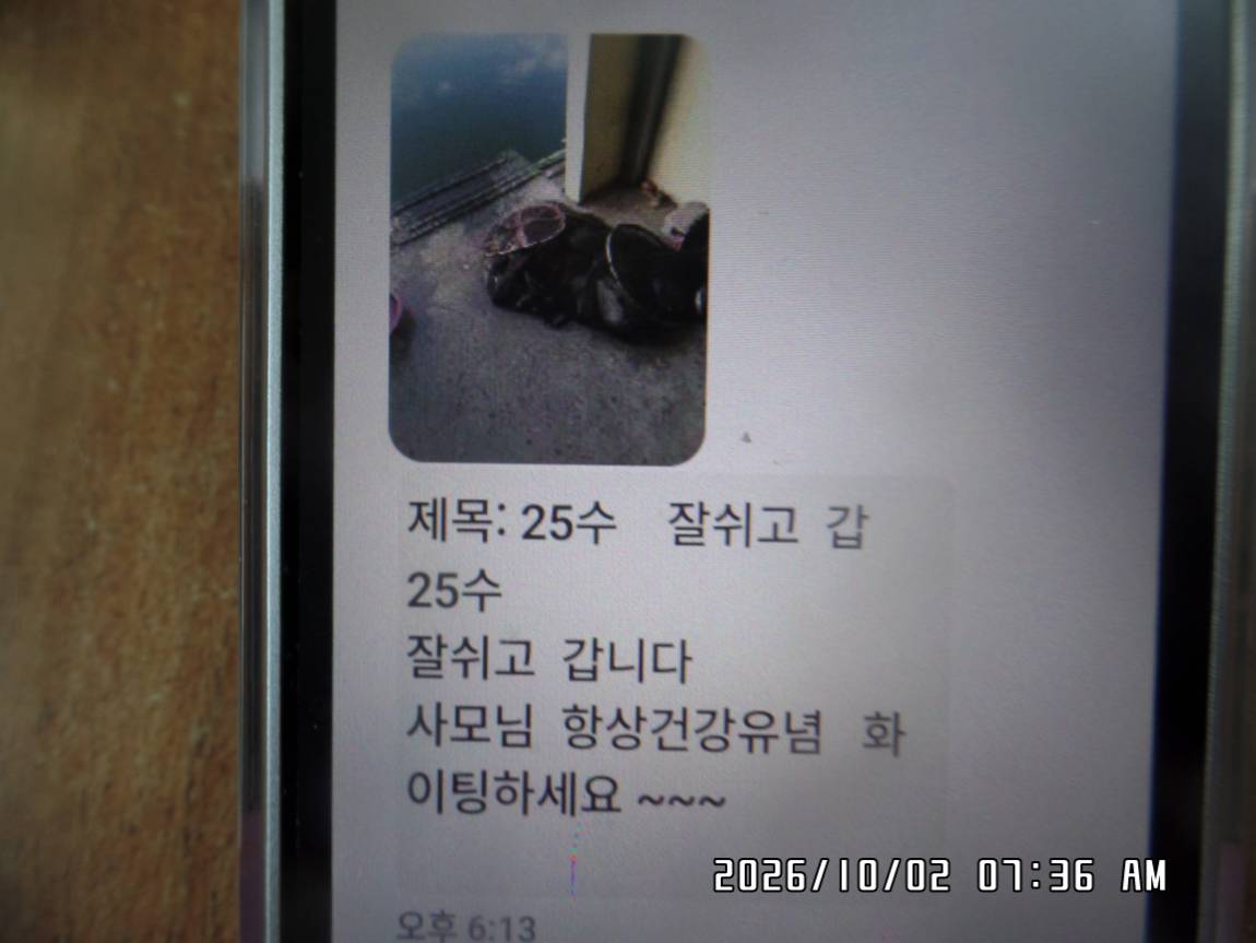 SAM_0110.JPG