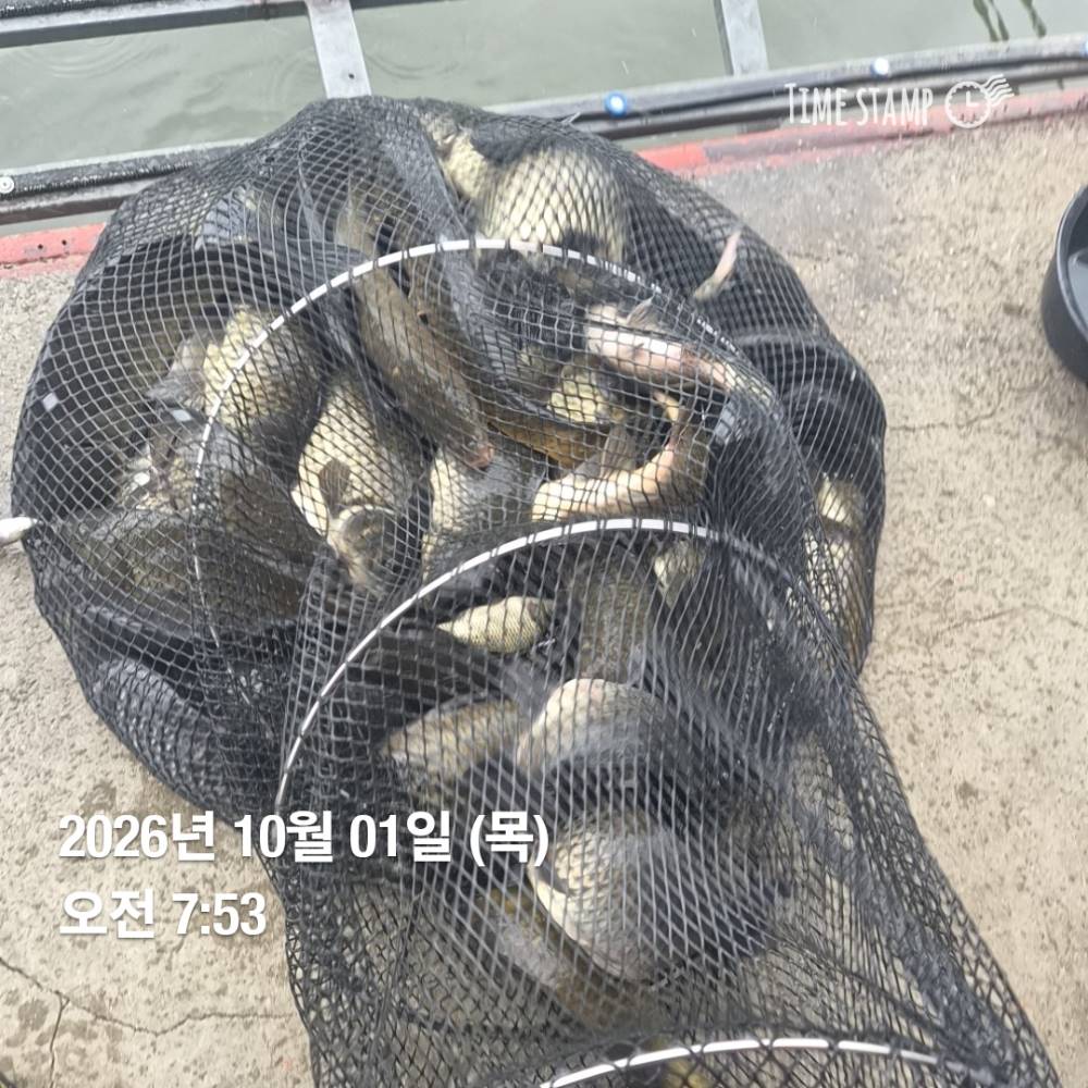 1790911315410.jpg