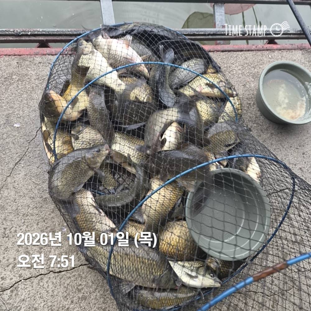 1790911315481.jpg