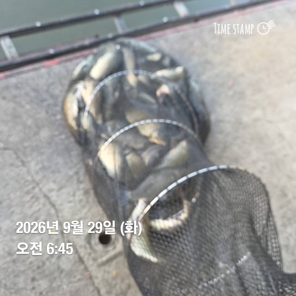 1790911315893.jpg