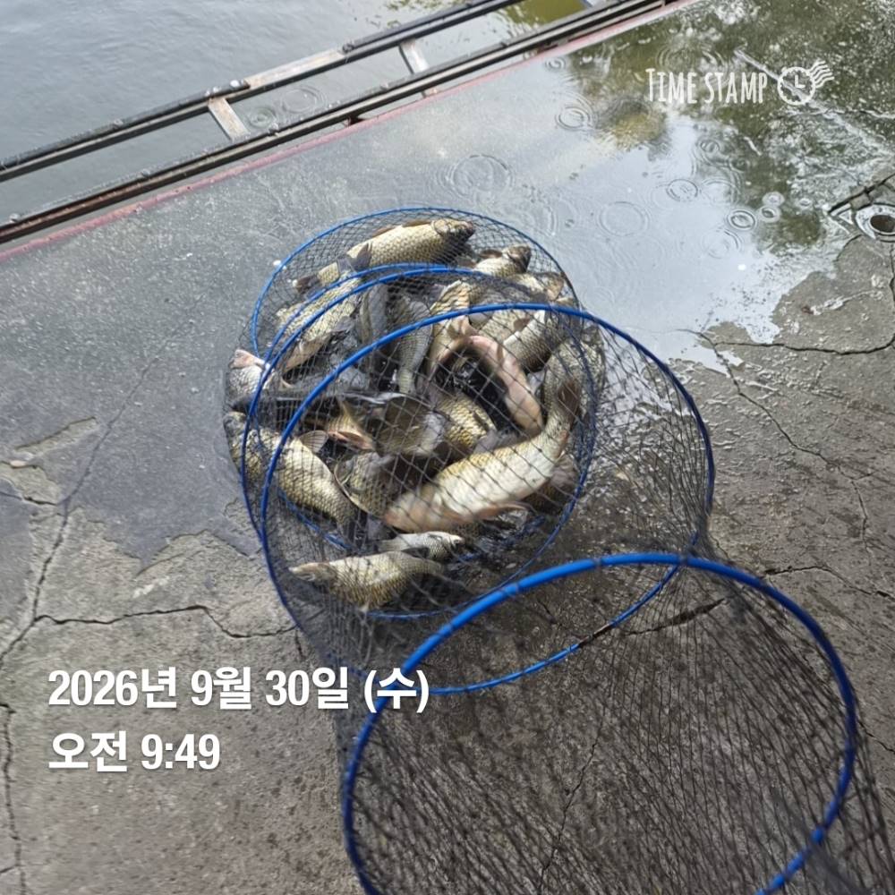 1790911315634.jpg