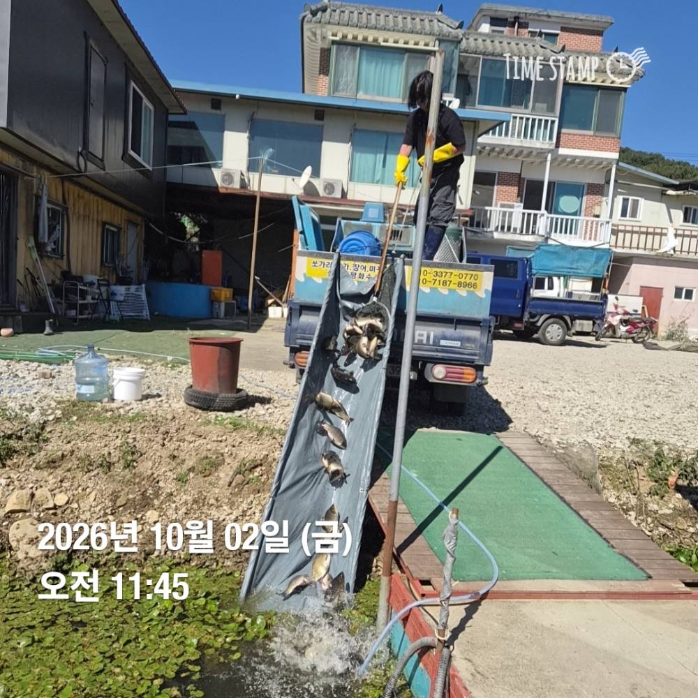 1790911308057.jpg
