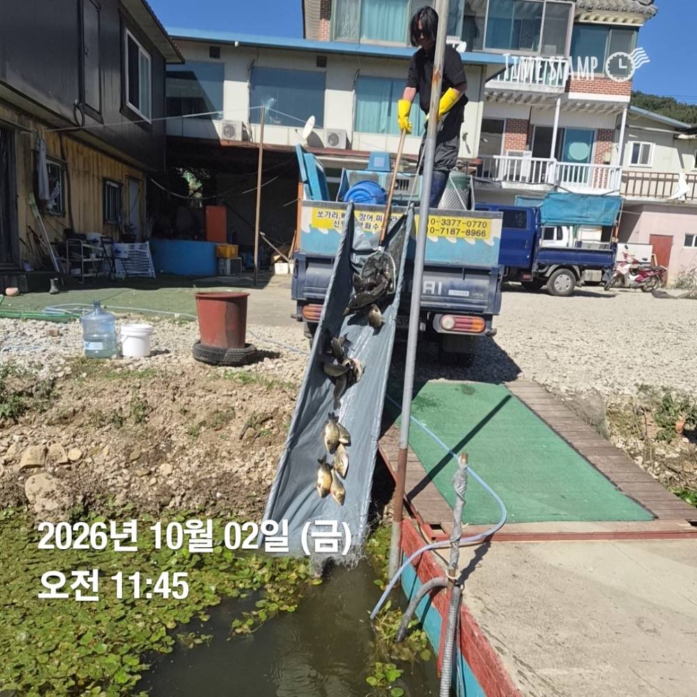 1790911307903.jpg