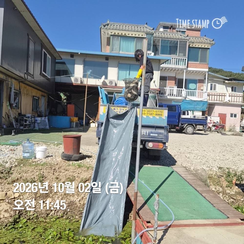1790911308158.jpg