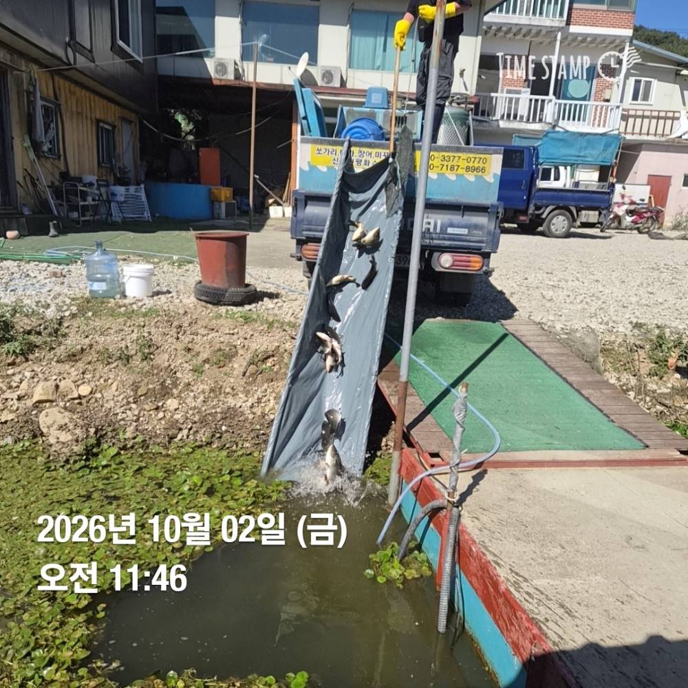 1790911307055.jpg