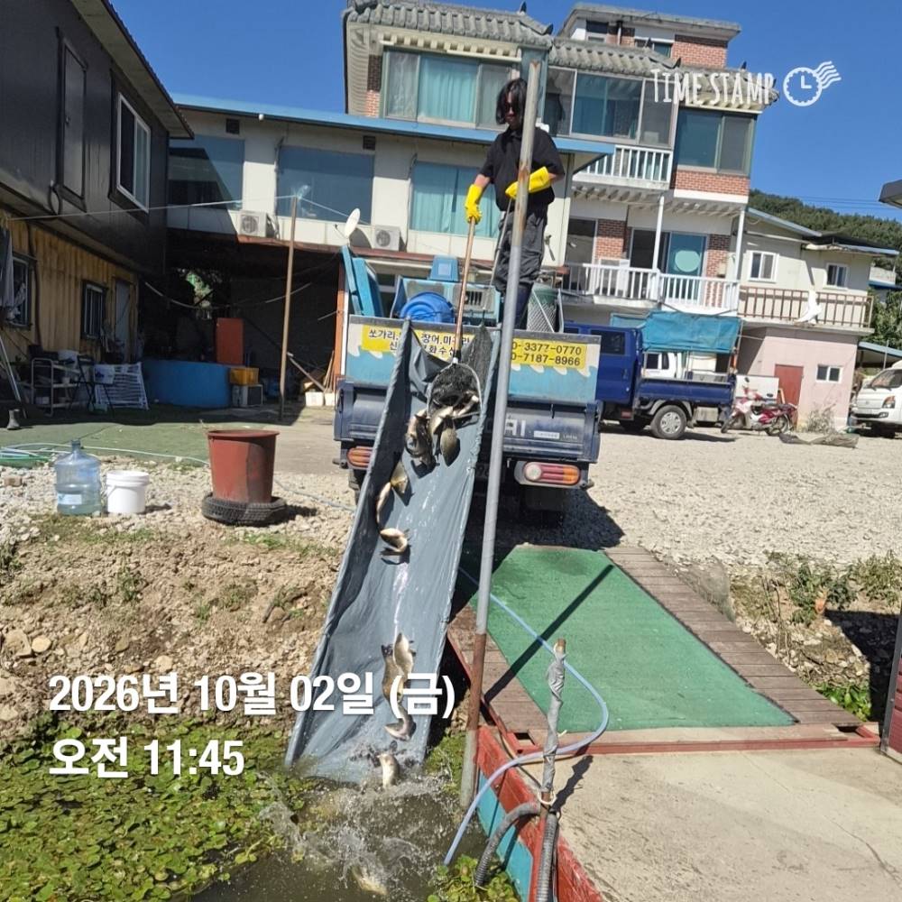 1790911307525.jpg