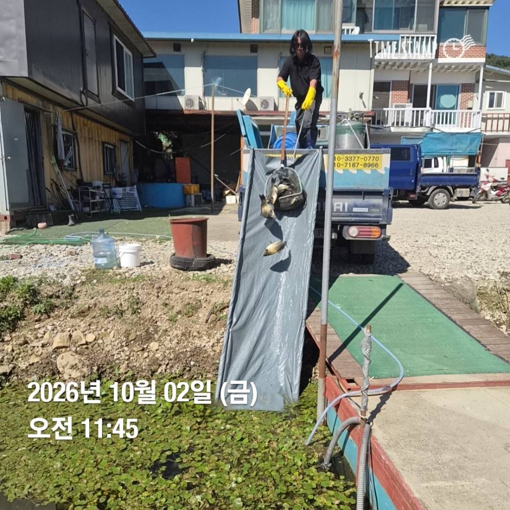 1790911308303.jpg