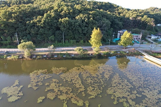 KakaoTalk_20261002_172512913_01.jpg