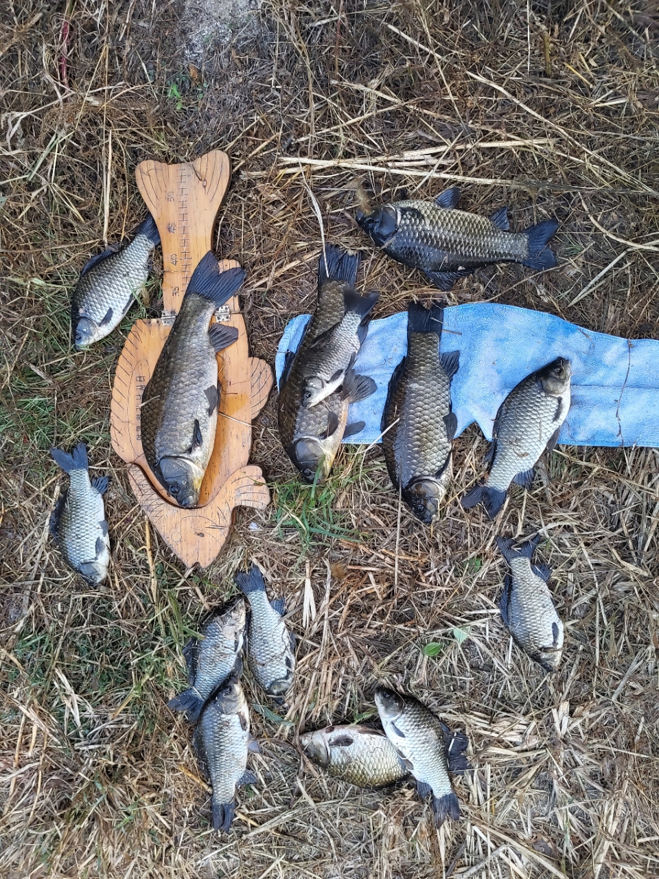 �⸮������_����_20260930_11.jpg