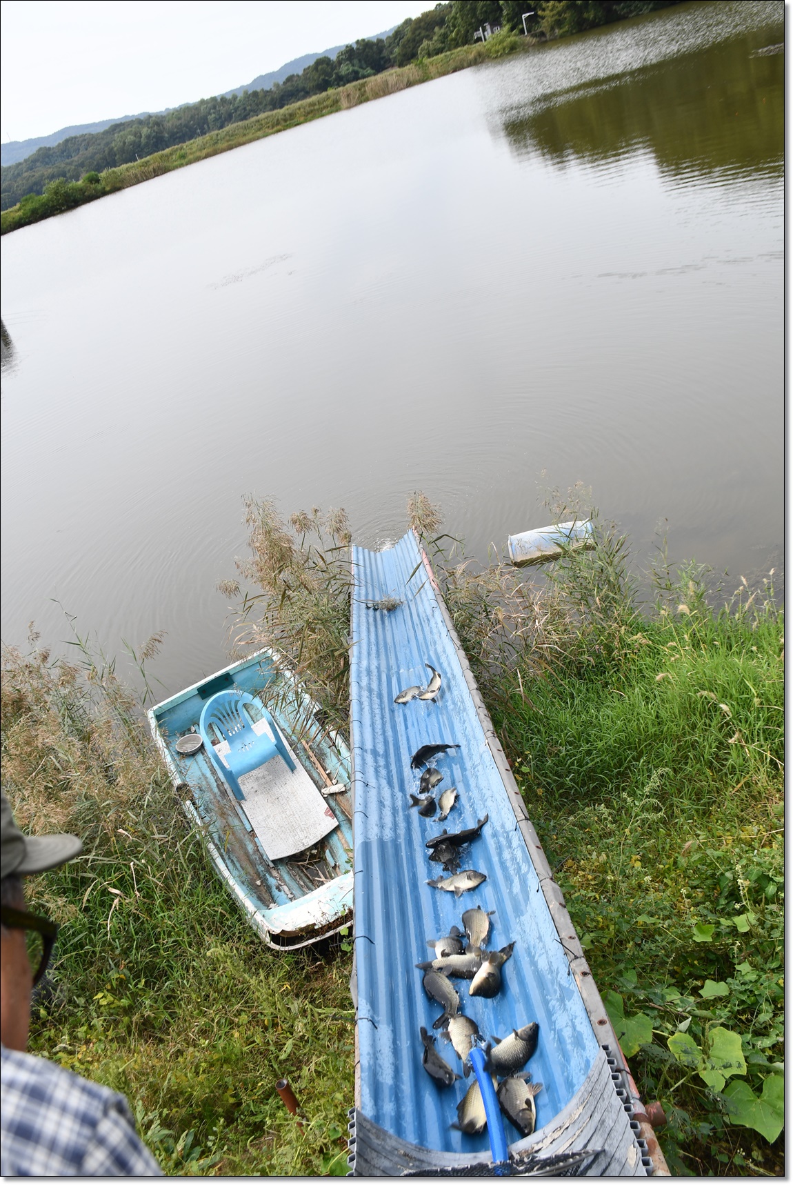 DSC_7793.JPG