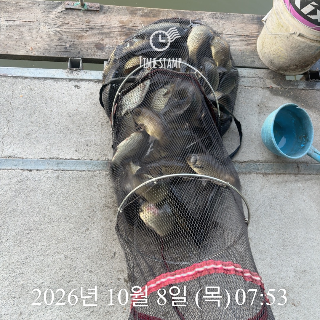 KakaoTalk_20261008_085829317_01.jpg