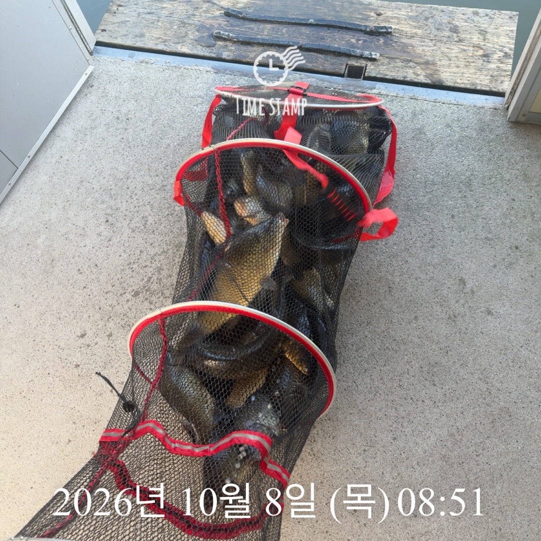 KakaoTalk_20261008_085829317.jpg