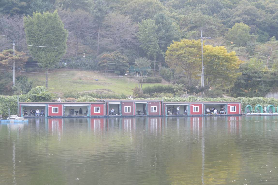 _7104877.JPG