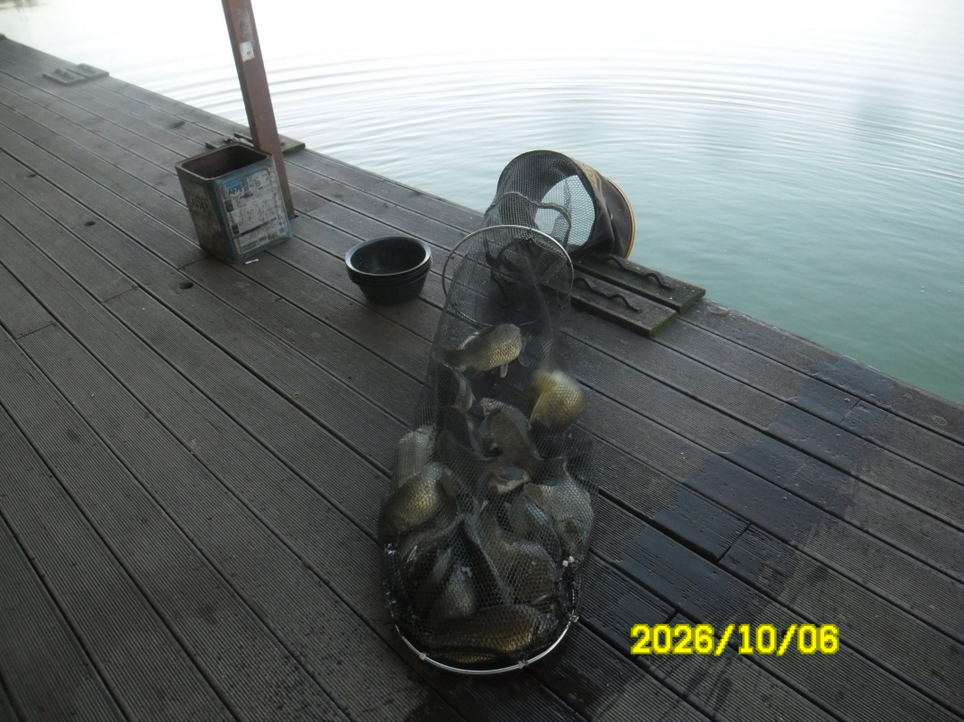 SAM_3316.JPG