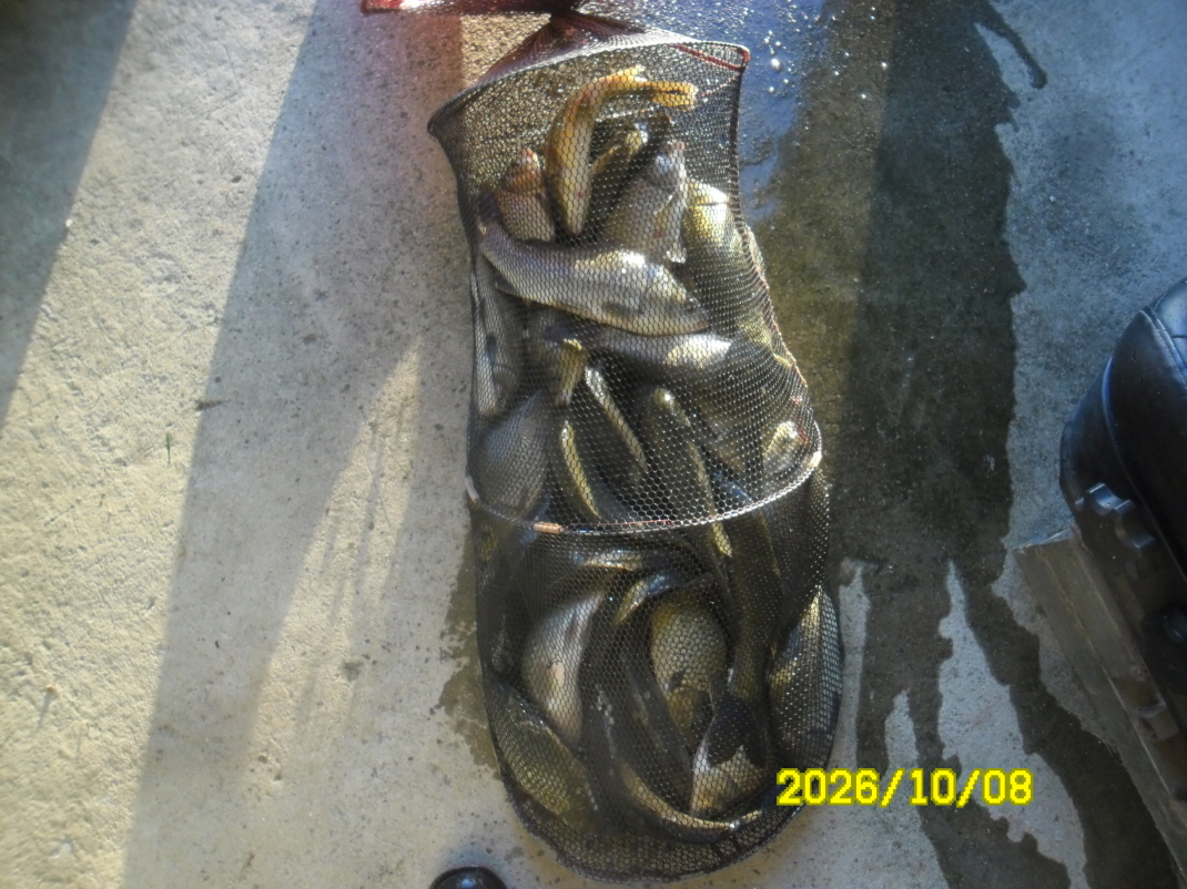 SAM_3347.JPG
