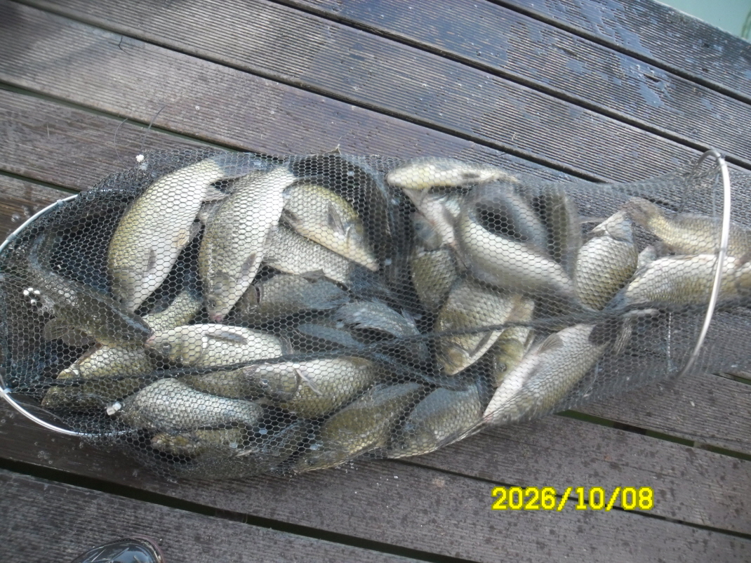 SAM_3354.JPG