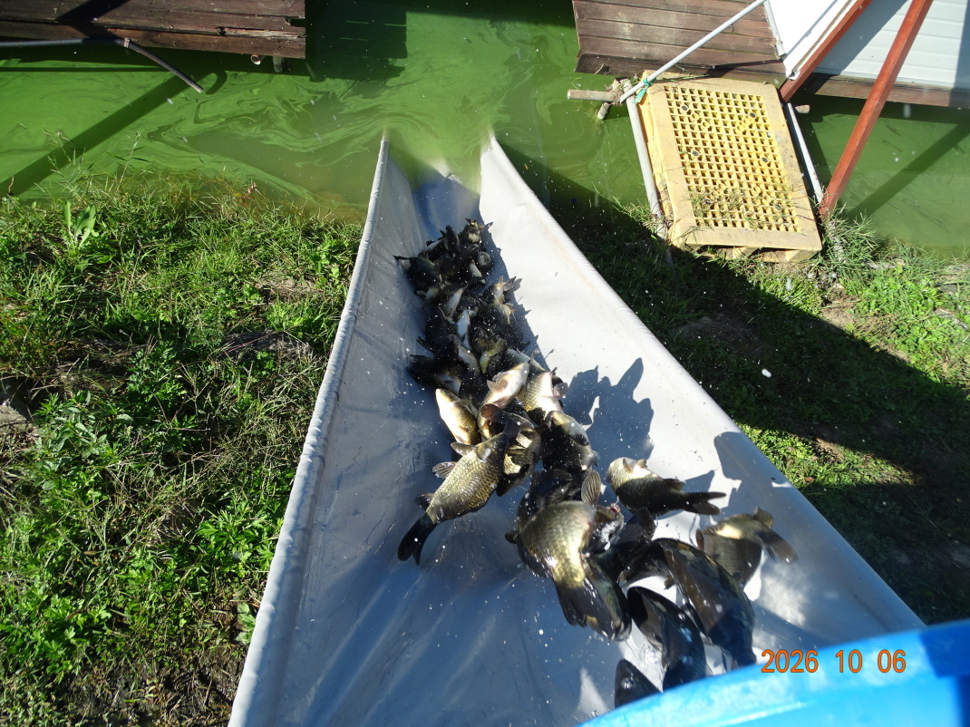 DSC09576.JPG