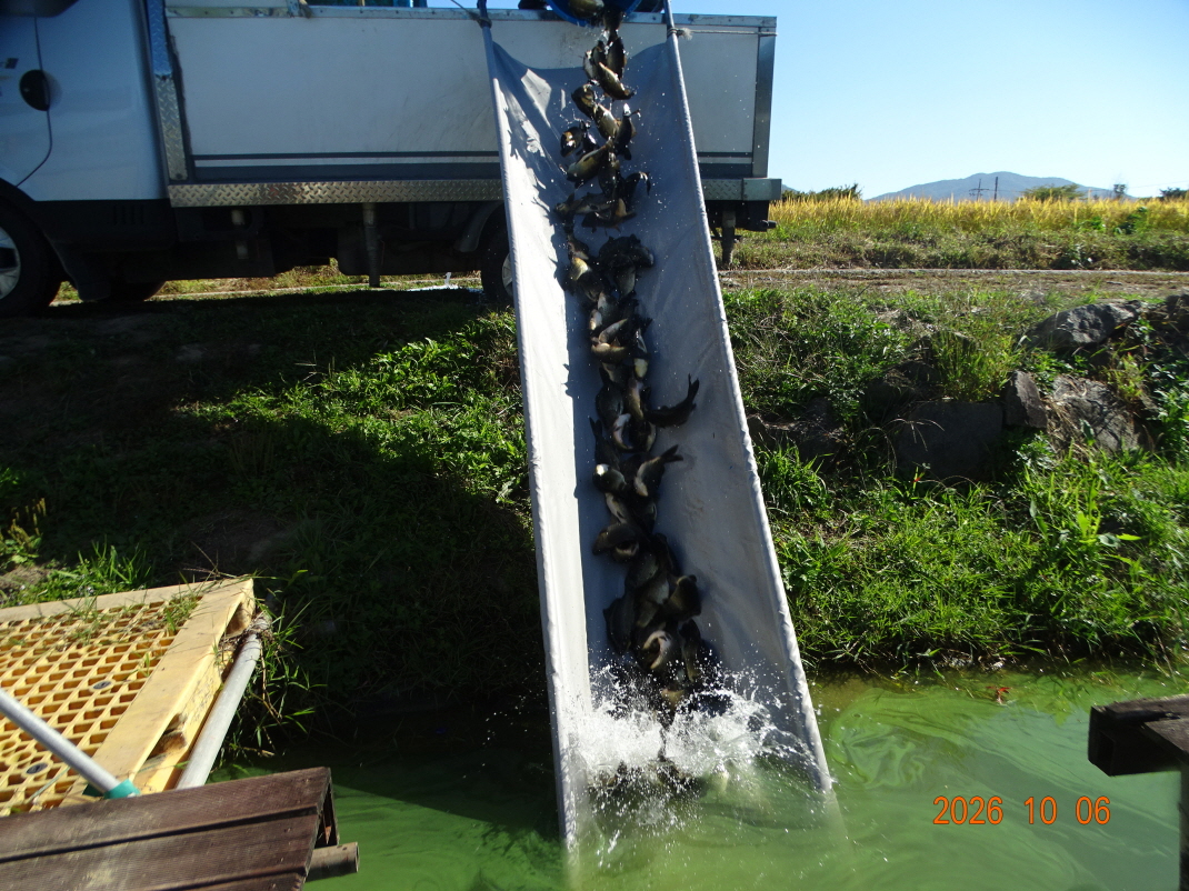 DSC09584.JPG