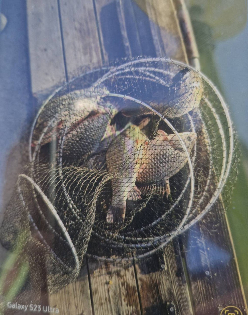 KakaoTalk_20261009_093311109.jpg