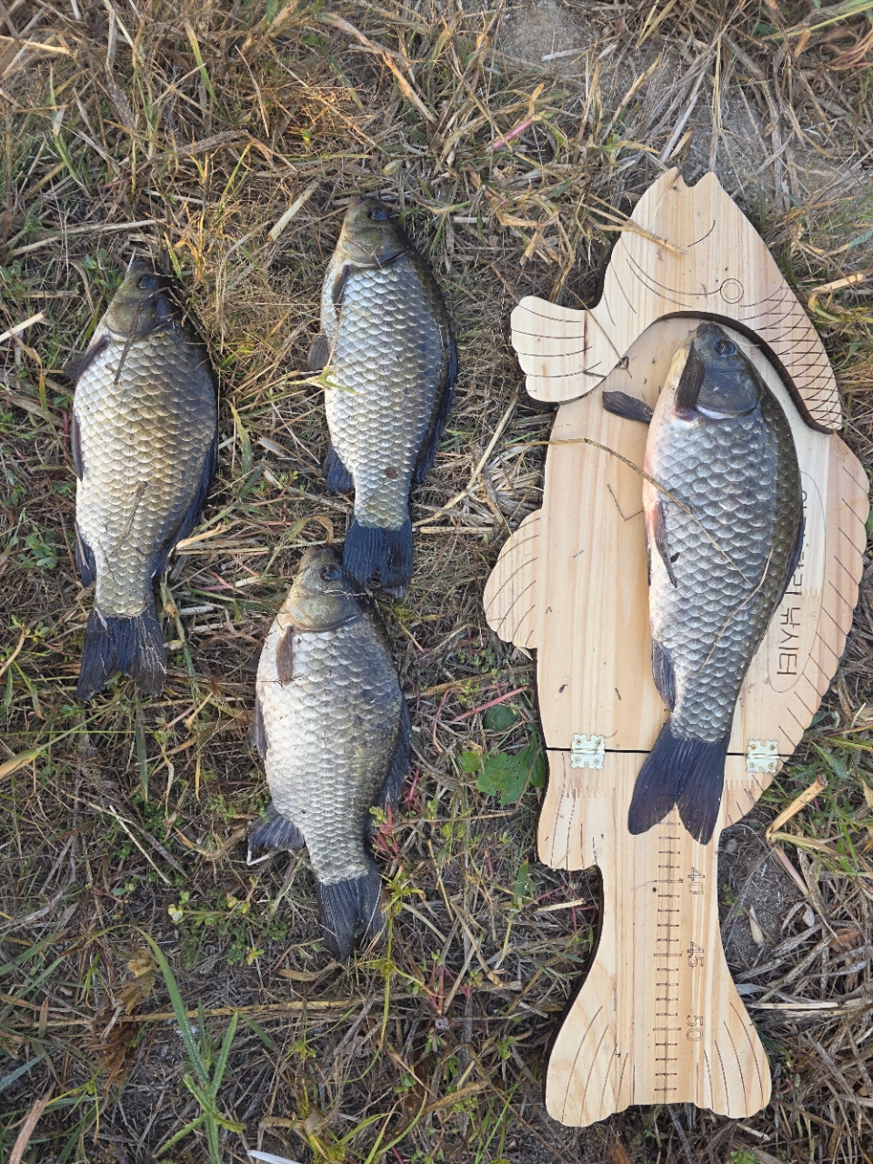 �⸮������_����_20261009_11.jpg