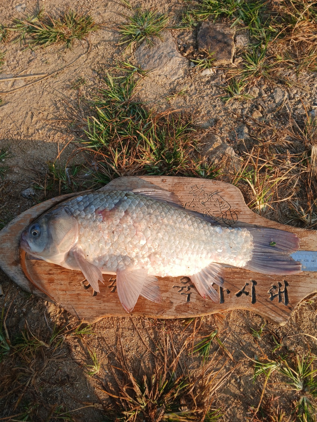 KakaoTalk_20261010_080507870_02.jpg