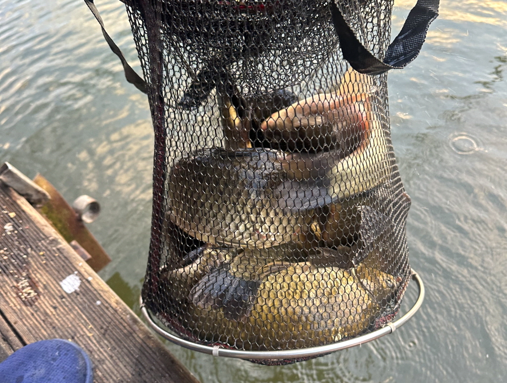 abKakaoTalk_20261011_094333574_01.jpg