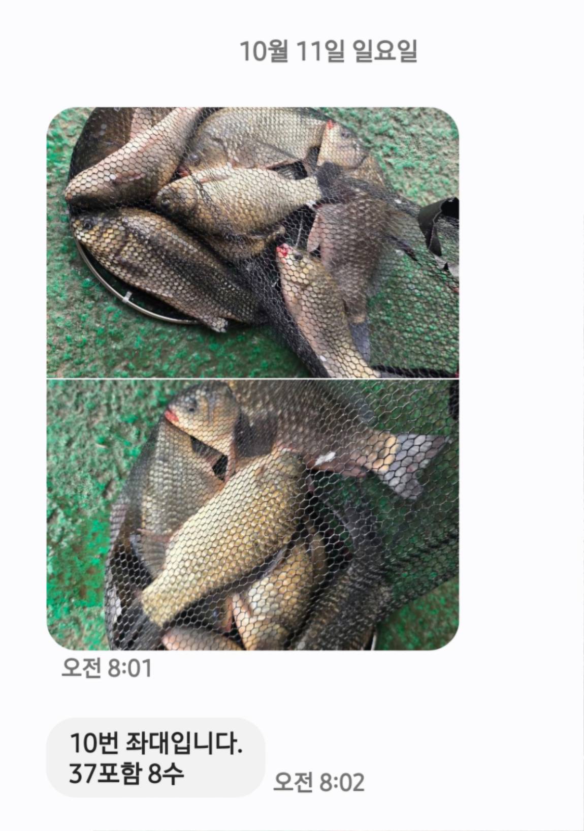Screenshot_20261011_081250_Messages.jpg