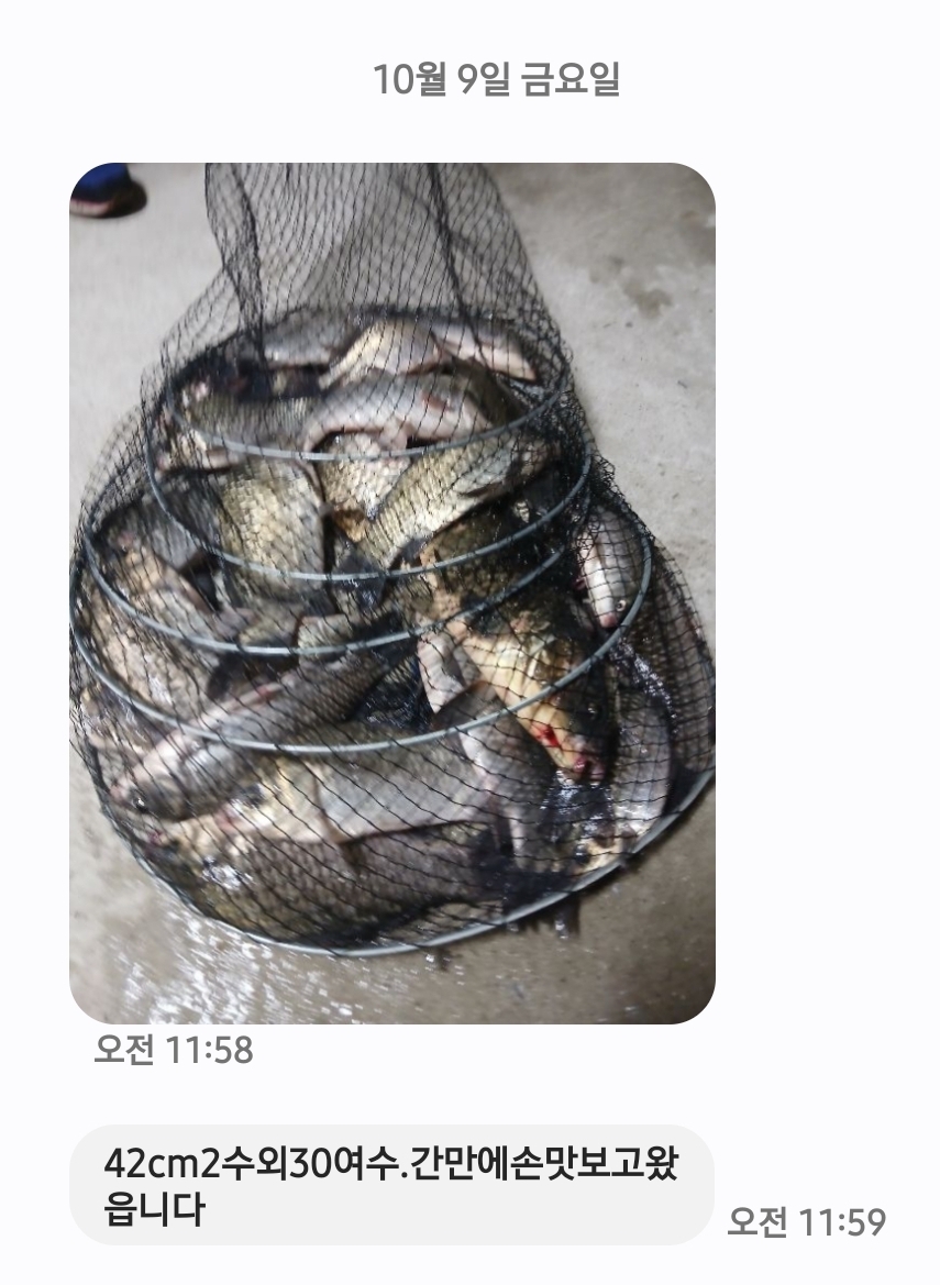 Screenshot_20261011_121517_Messages.jpg