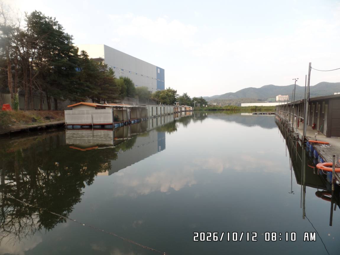 SAM_0619.JPG