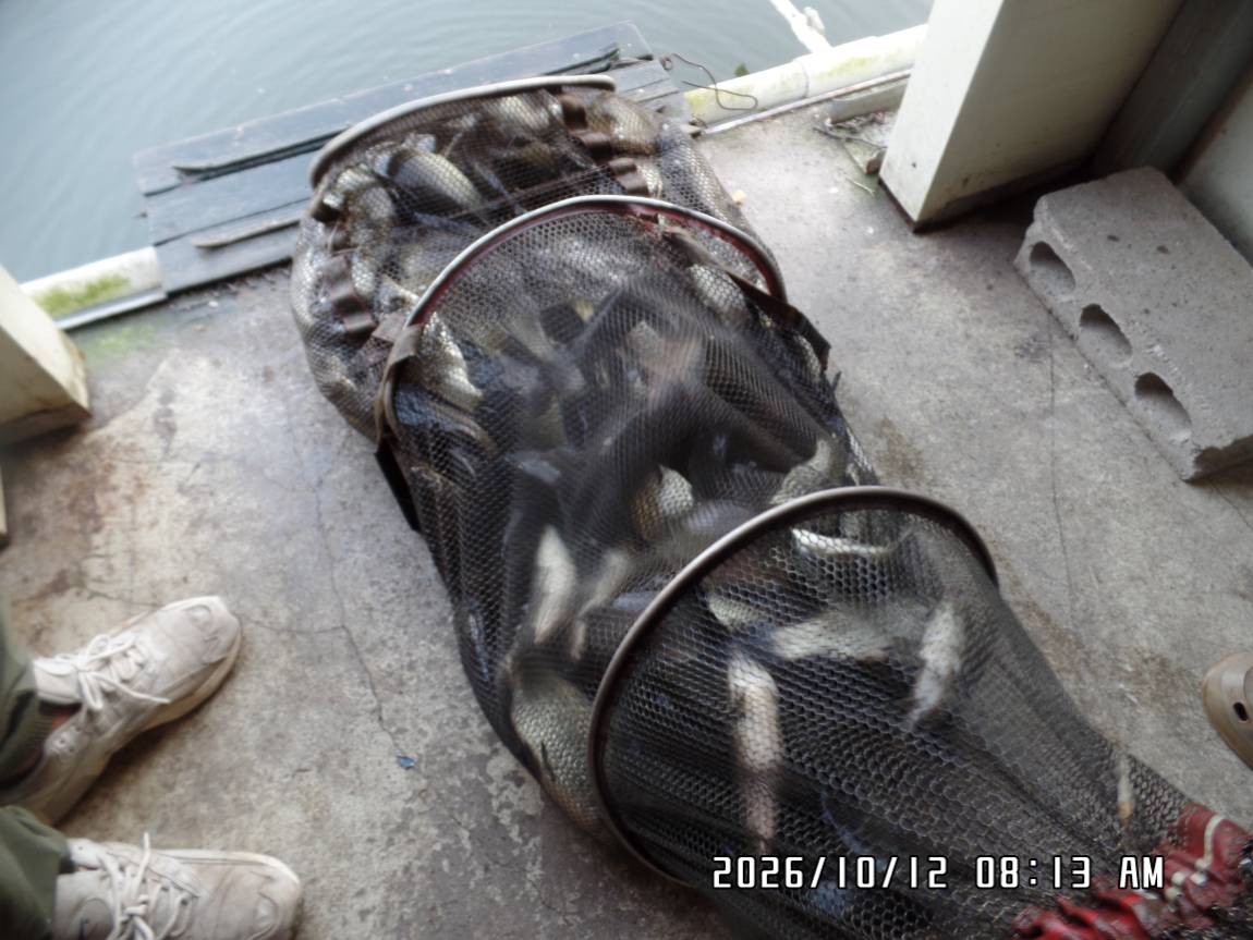 SAM_0623.JPG