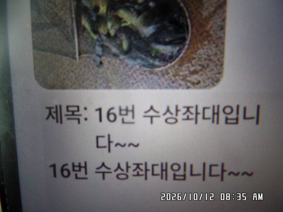 SAM_0648.JPG