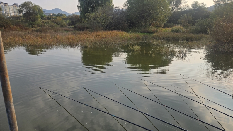 [ũ�⺯ȯ]20261012_075411.jpg