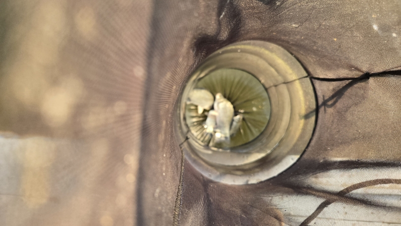 [ũ�⺯ȯ]20261012_081841.jpg