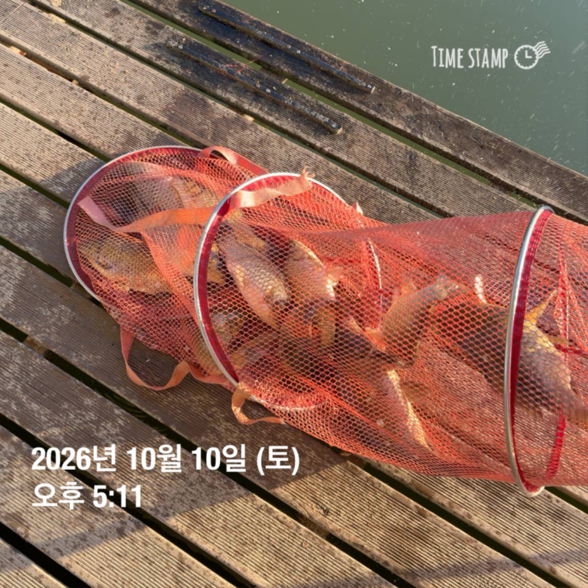 KakaoTalk_20261012_105131504_09.jpg