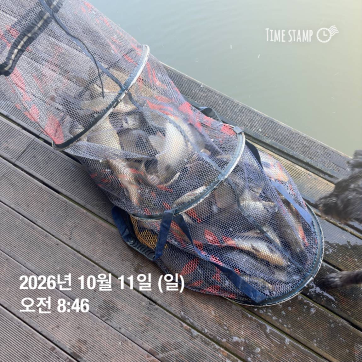 KakaoTalk_20261012_105131504_12.jpg