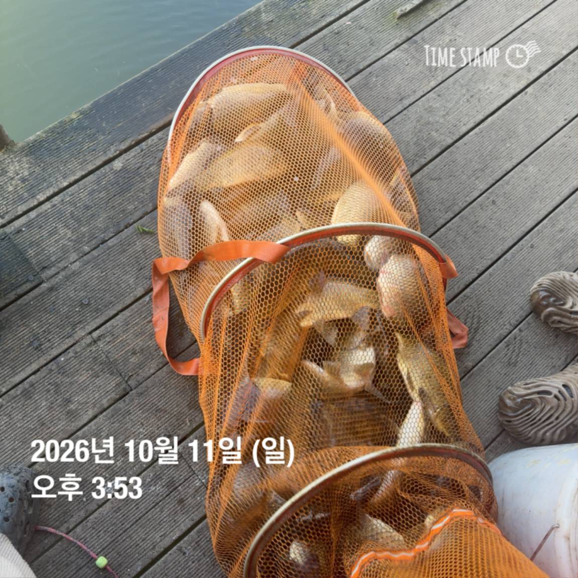 KakaoTalk_20261012_105131504_23.jpg