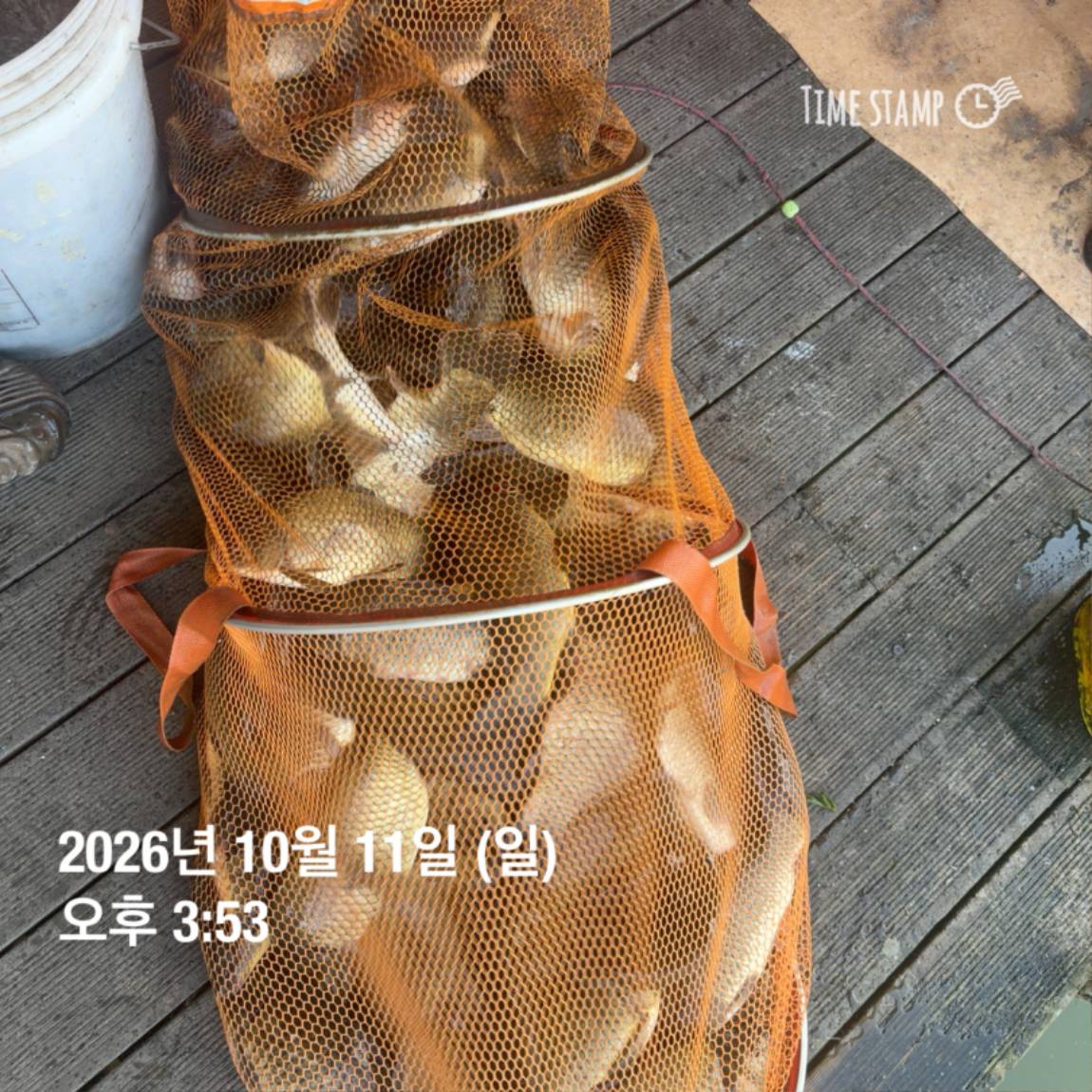 KakaoTalk_20261012_105131504_22.jpg