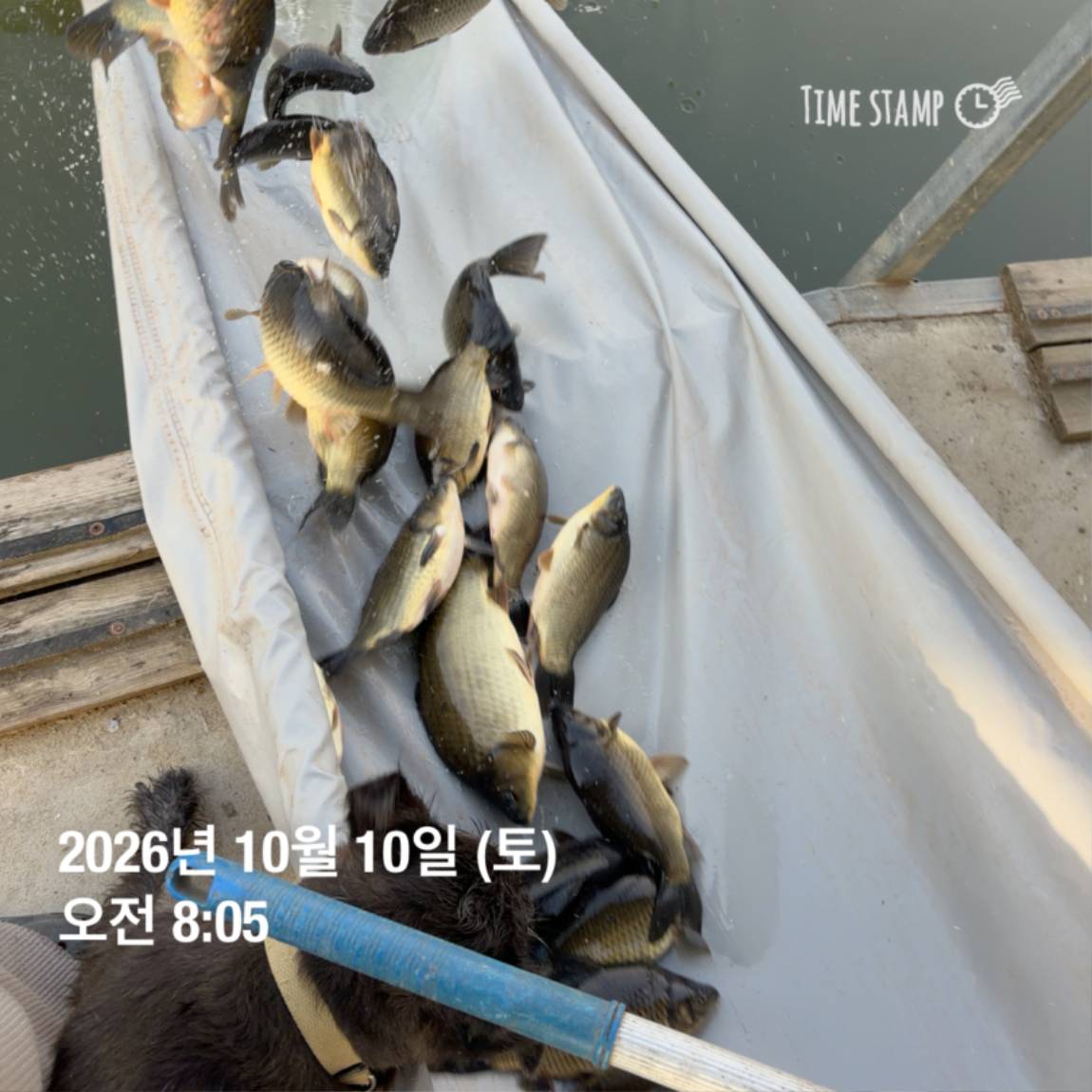 KakaoTalk_20261012_105131504_28.jpg