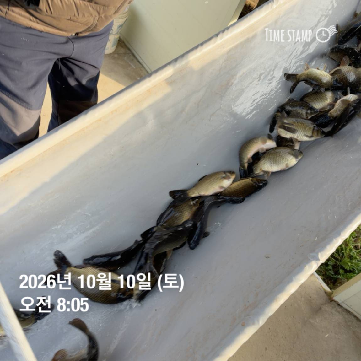 KakaoTalk_20261012_105135693.jpg