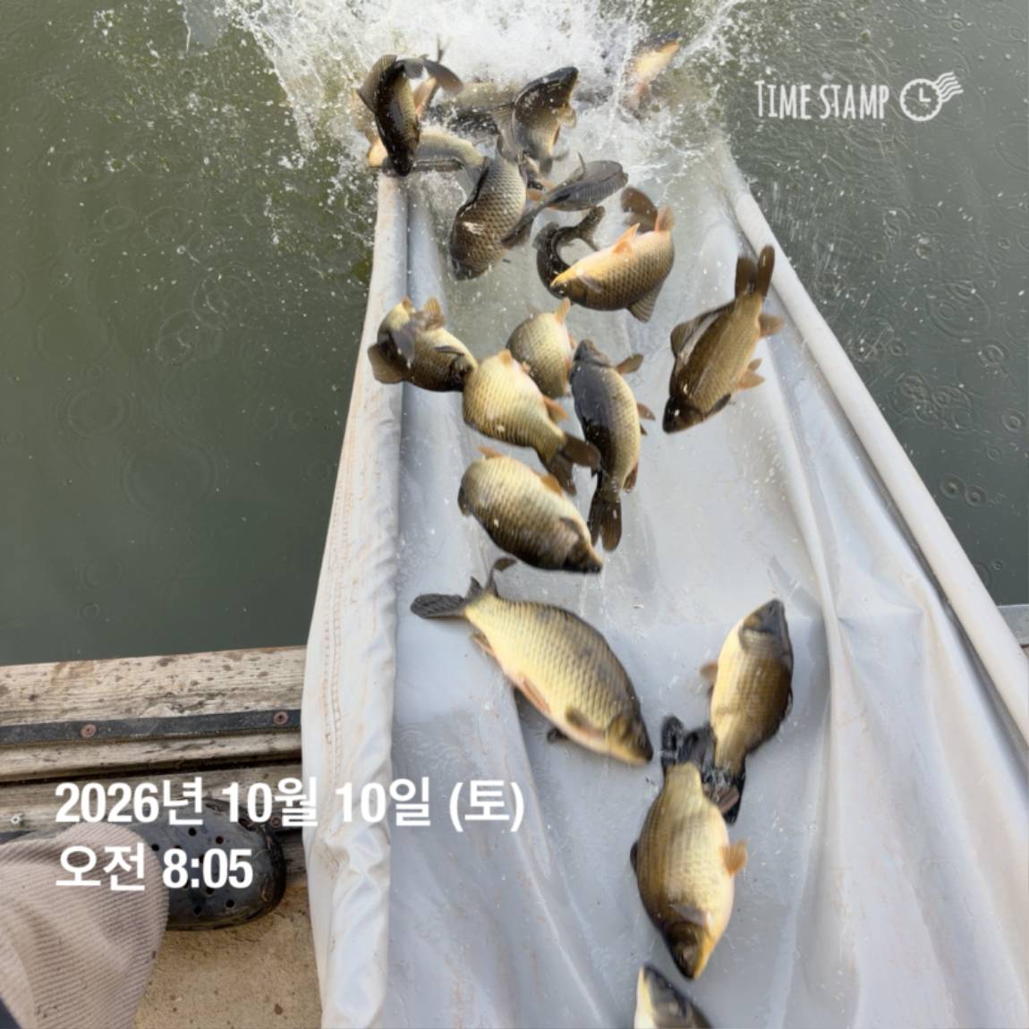 KakaoTalk_20261012_105135693_03.jpg