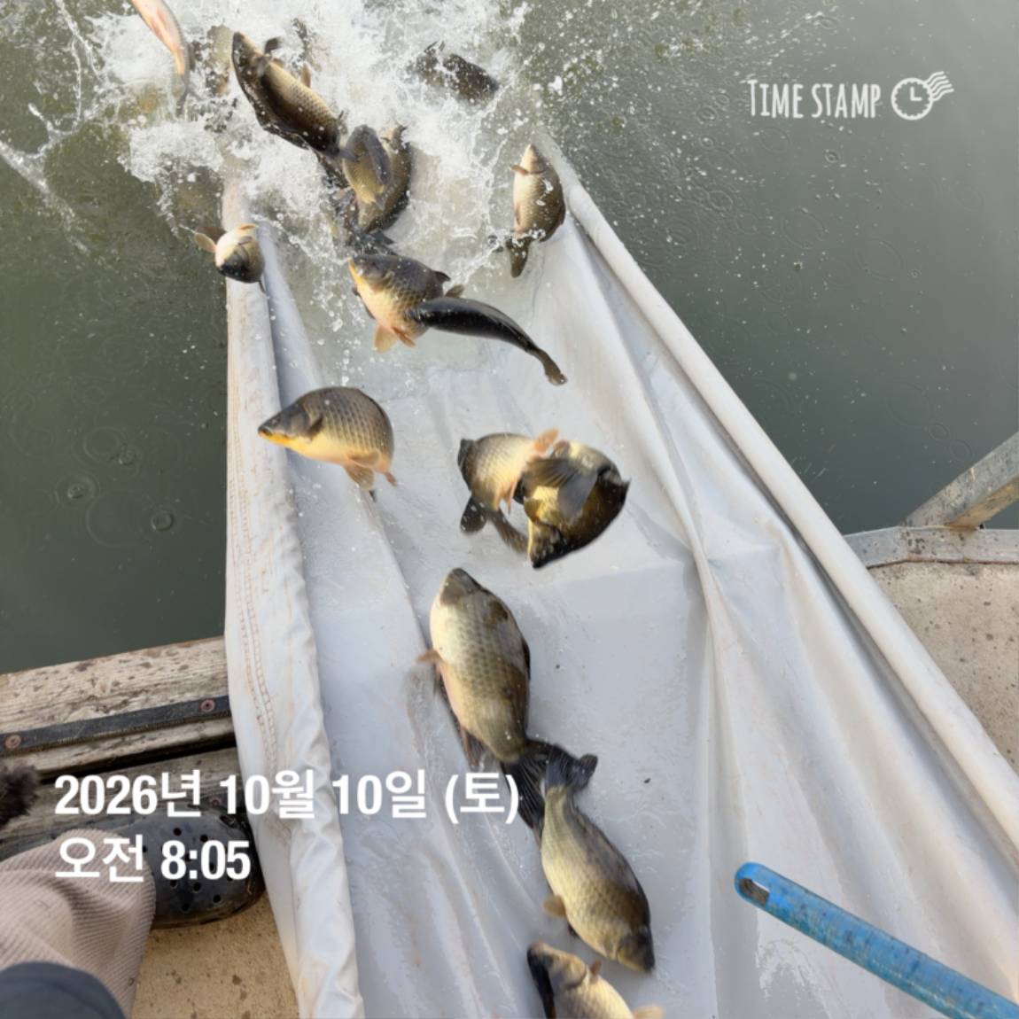 KakaoTalk_20261012_105135693_06.jpg
