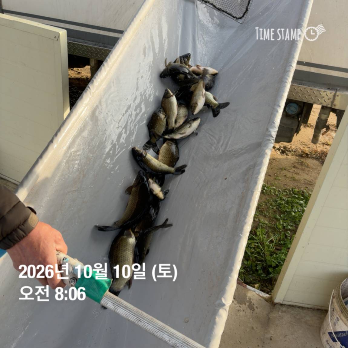 KakaoTalk_20261012_105135693_10.jpg