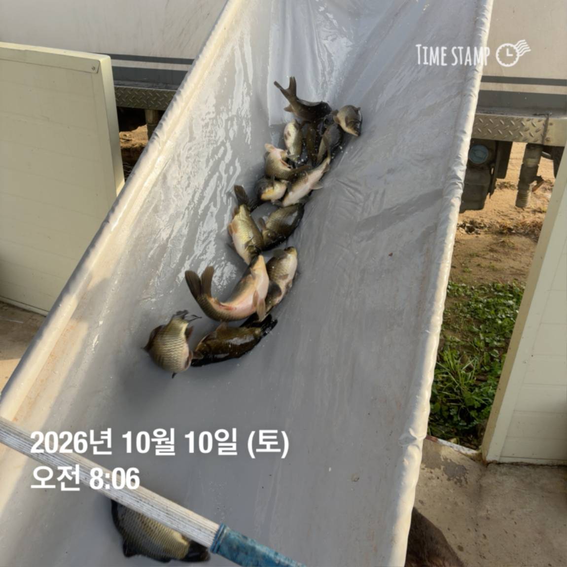 KakaoTalk_20261012_105135693_11.jpg