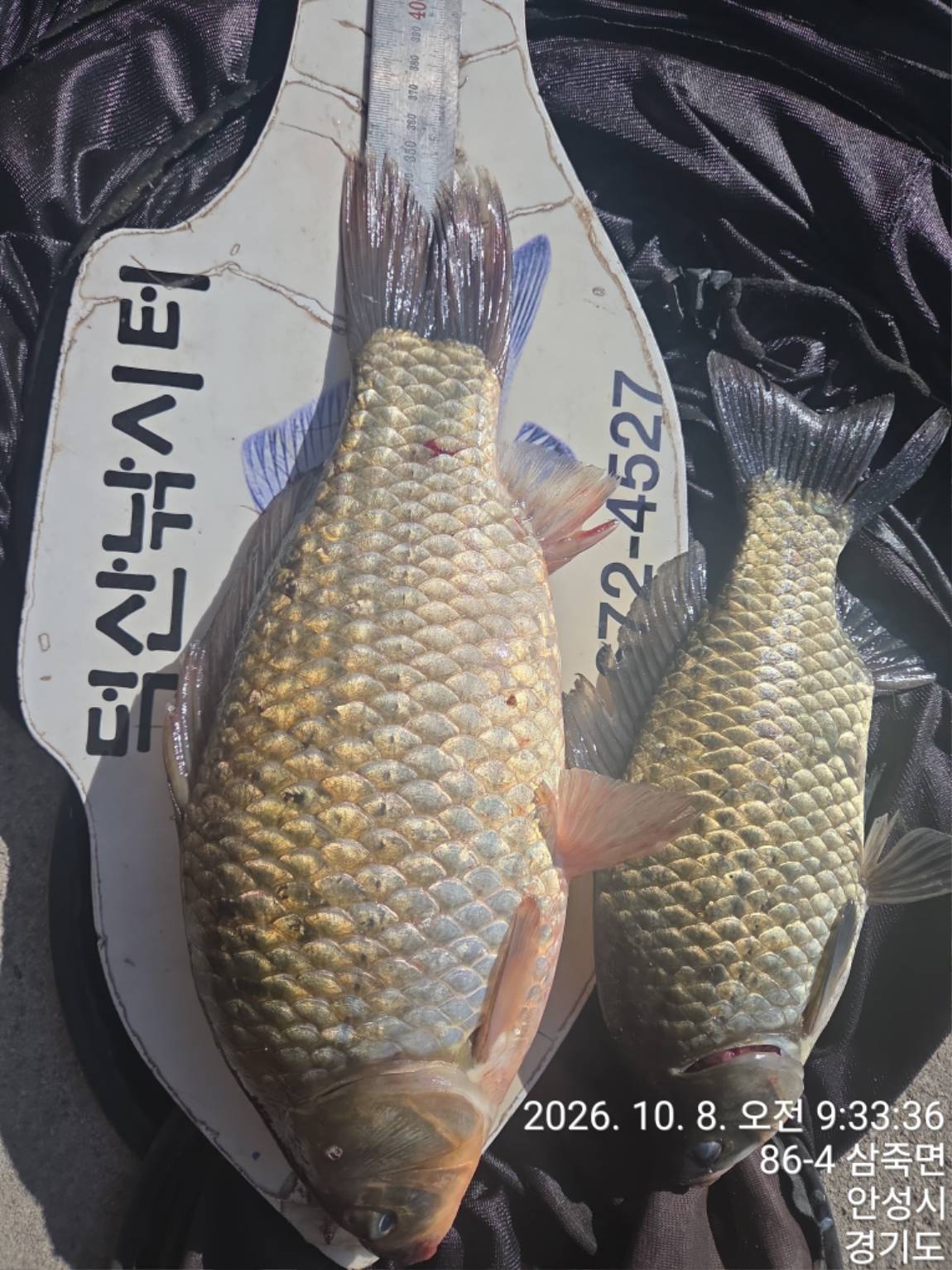 KakaoTalk_20261012_163759532.jpg