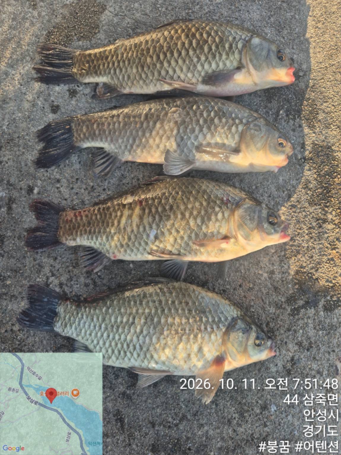 KakaoTalk_20261011_080125253.jpg