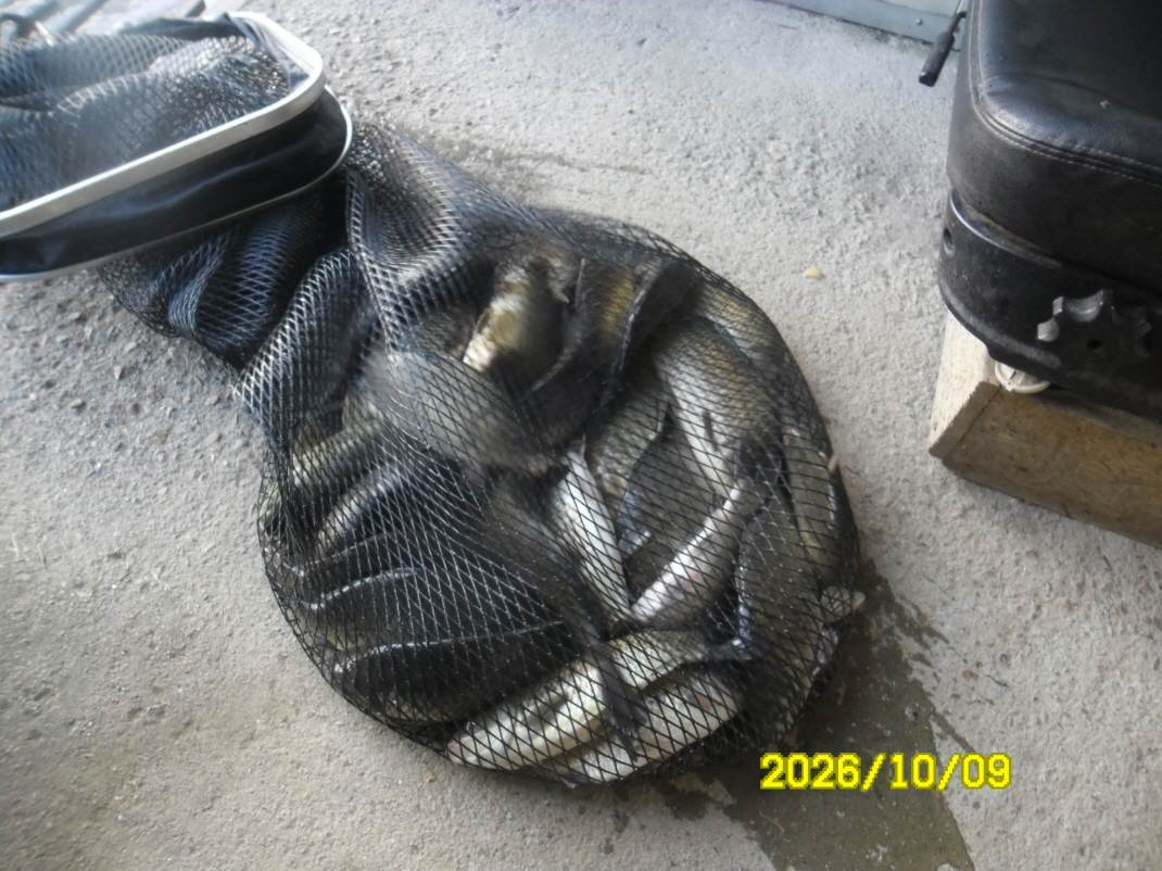 SAM_3370.JPG