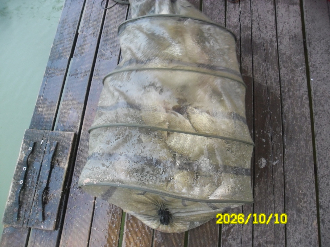 SAM_3405.JPG