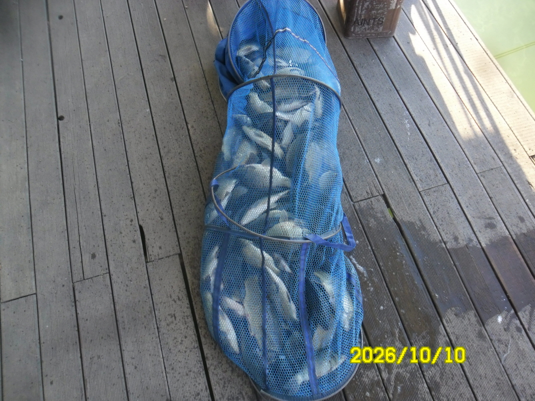 SAM_3414.JPG